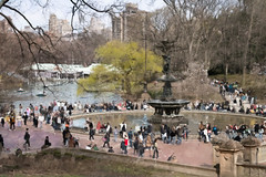 Central Park 3-30-24