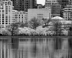 Central Park, NYC