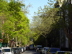 202404023 New York City Chelsea