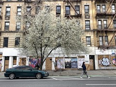 A Late March Day on Amsterdam Avenue