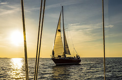 A Sunser Sail Near Pultneyville