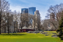 Central Park 3-30-24