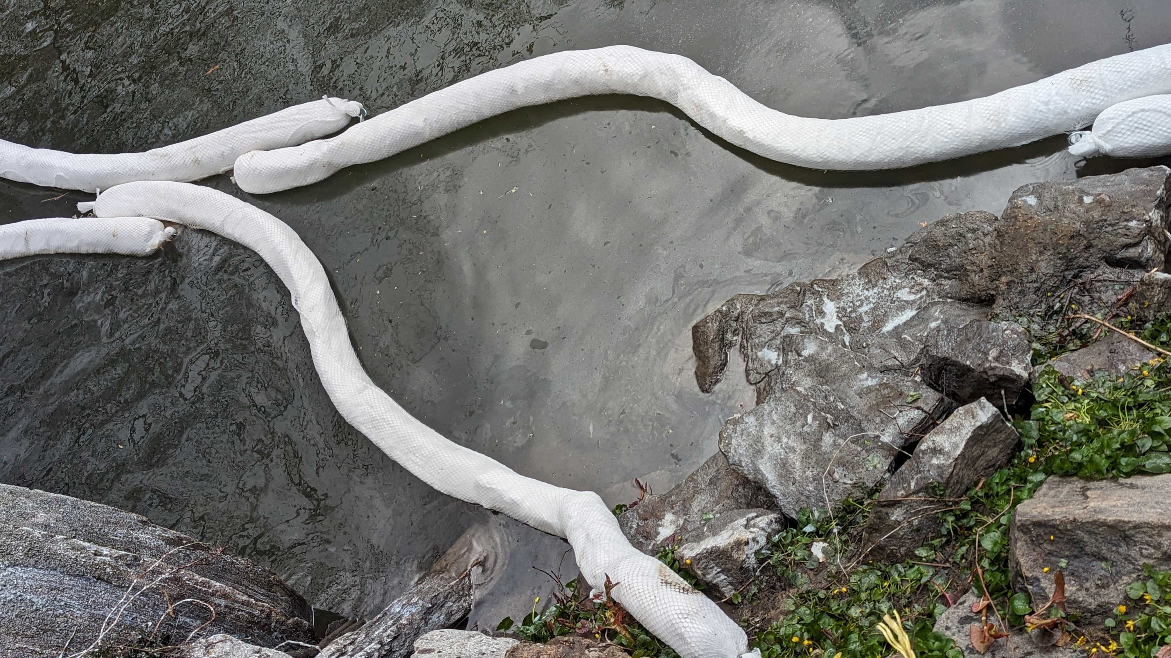 A photo of oil from a spill in the Bronx River.