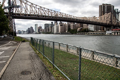 East River from Roosevelt Island