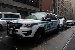 New York Police Department