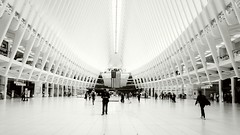 Oculus Center