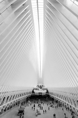 Oculus, World Trade Center, New York, Manhattan