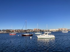 On Sheepshead Bay