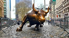 Wall Street Bull