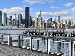 A Couple of Gulls...and a Big City