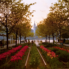 Empire State with tulips