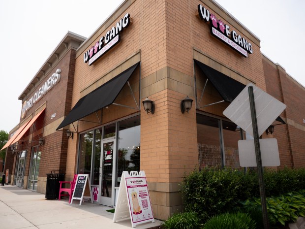 Pet store chain Woof Gang Bakery & Grooming has opened a new location in Naperville at 2940 Showplace Drive. (Tess Kenny/Naperville Sun)