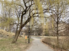 Late March in Northern Central Park