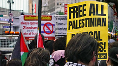 Pro-Palestinian March in New York City   DSC01591