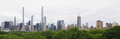 Roof Garden View