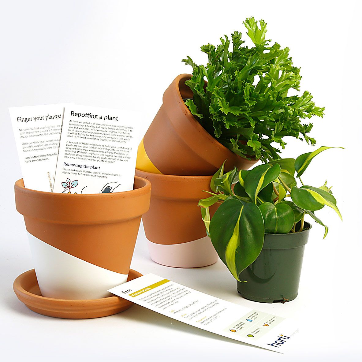 Horti Subscription Plants