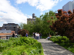 202405083 New York City Meatpacking District High Line Park