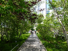 202405084 New York City Meatpacking District High Line Park