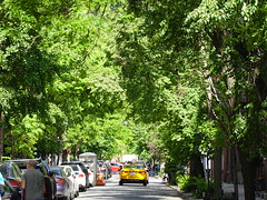 202405087 New York City West Village