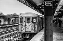 Bronx - Zerega Ave - 3/15/23