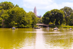 Central Park Flowers, Nature and Landscape 6-2-24