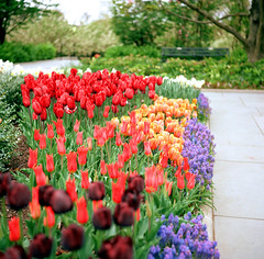 Conservatory Garden