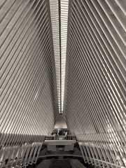 Interior (#2), Oculus Center