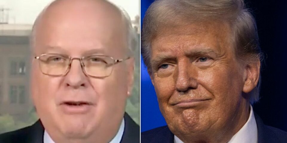 'Look At The Evidence': Karl Rove Drops Bad News For Trump Live On Fox News