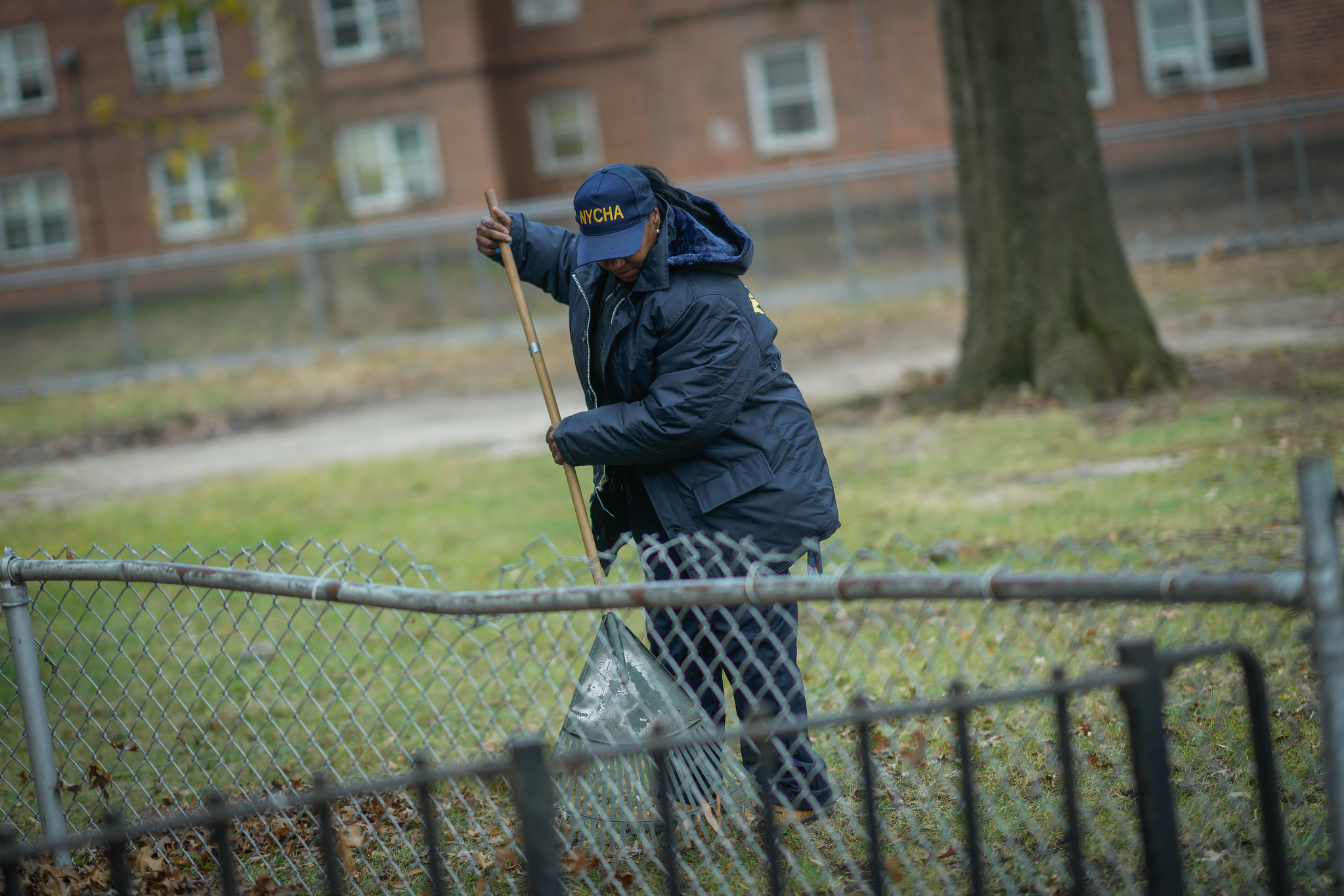 A worker wearing a navy blue hat with yellow letters spelling out NYCHA rakes leaves outside of a complex.