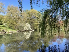 Reflections of Central Park