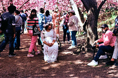 Romantic in Central Park