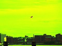 Wayward Balloon over the Hudson River