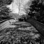 Shadows, Central Park