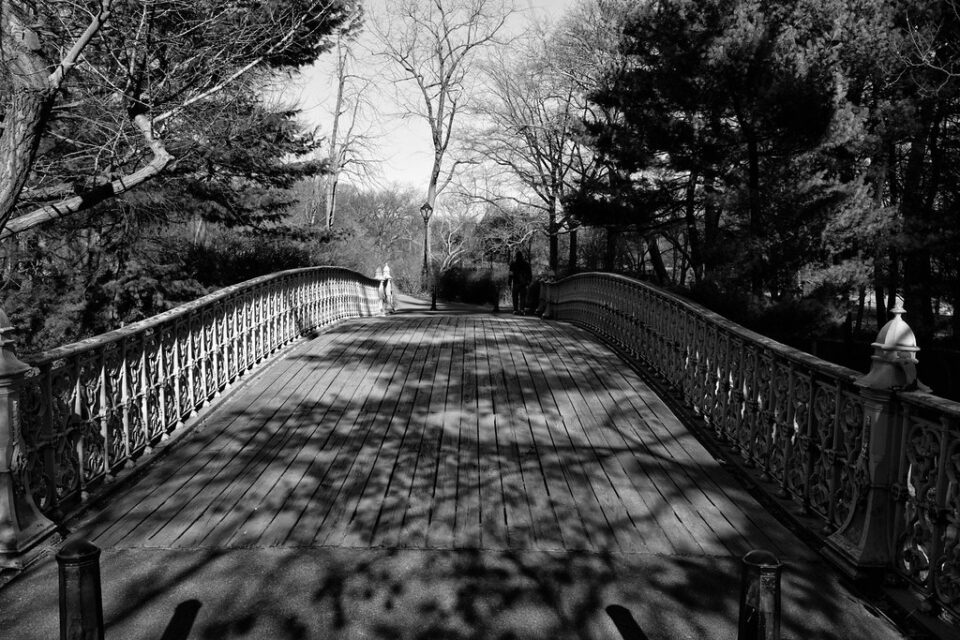 Shadows, Central Park