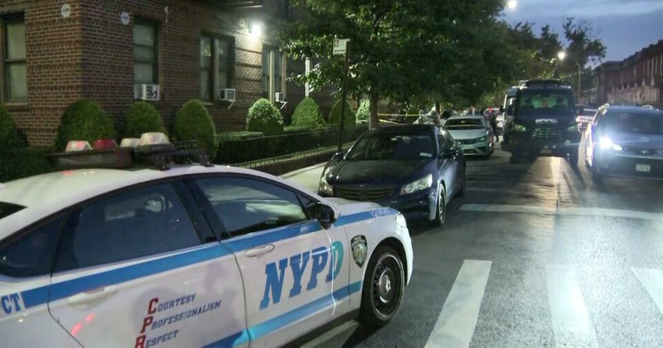 Brooklyn family found stabbed and killed inside apartment, 1 in custody