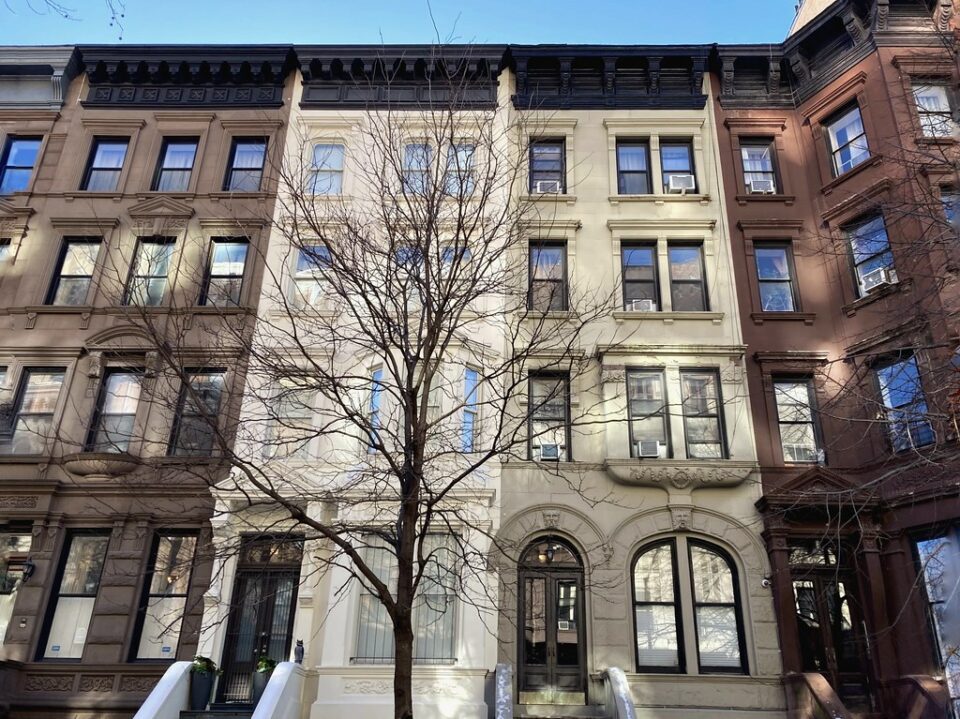 Bare Tree Against Brownstones