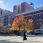 Crossing Park Avenue in the Fall