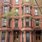 Tree Against Brick Building