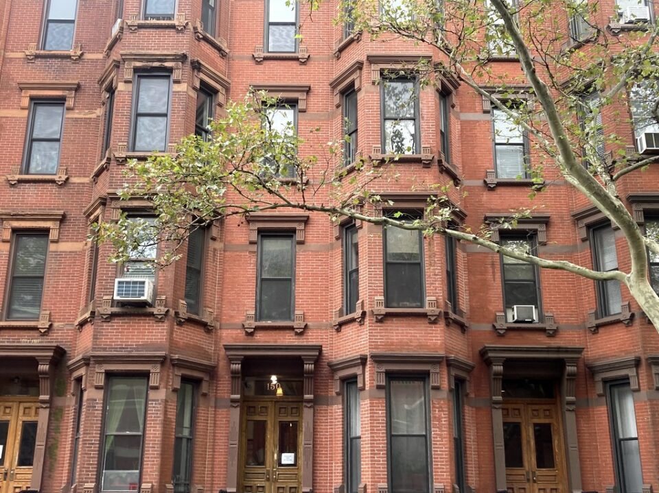 Tree Against Brick Building