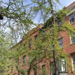 Spring Comes to Greenwich Village