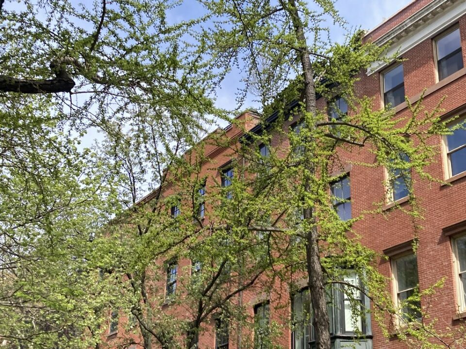 Spring Comes to Greenwich Village