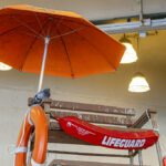 Feathered Lifeguard, Coney Island