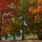 Prospect Park, Brooklyn