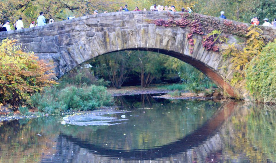 Central Park, NYC