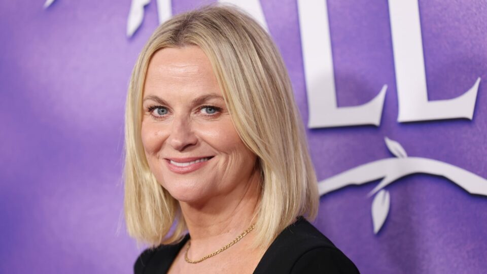 Amy Poehler Is Reportedly Dating a New York Times Editor Turned Podcast Overlord