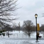 Mid-January in Riverside Park