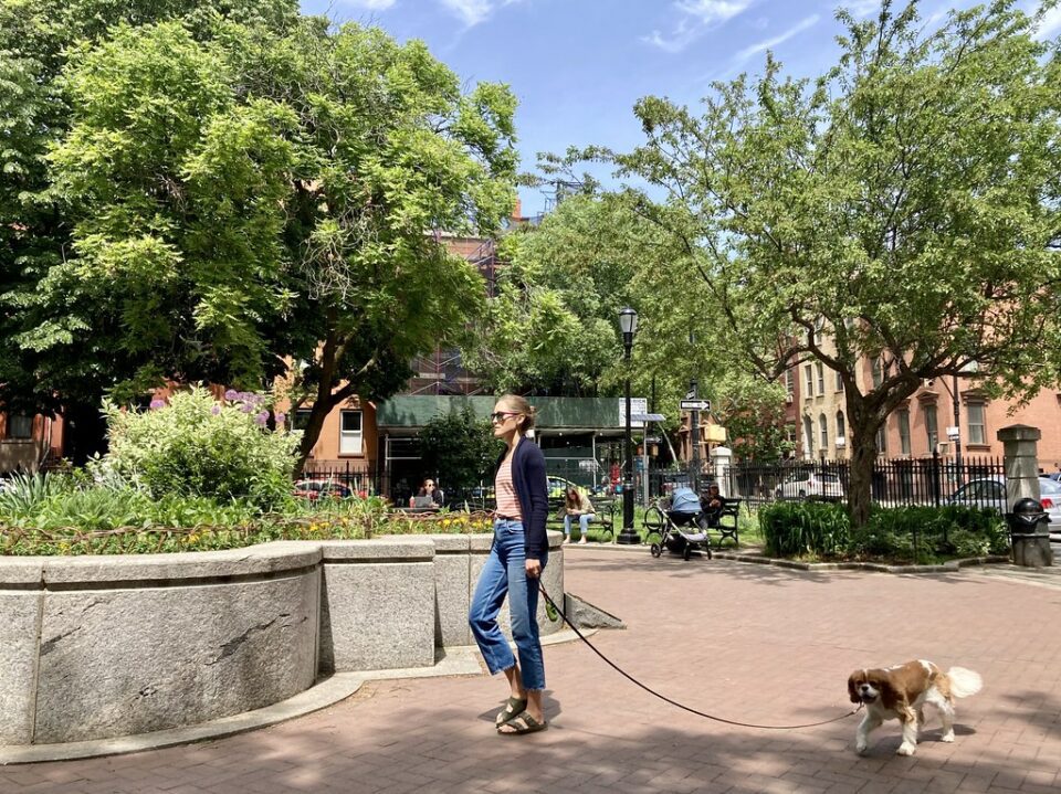 Walking the Dog in Cobble Hill Park