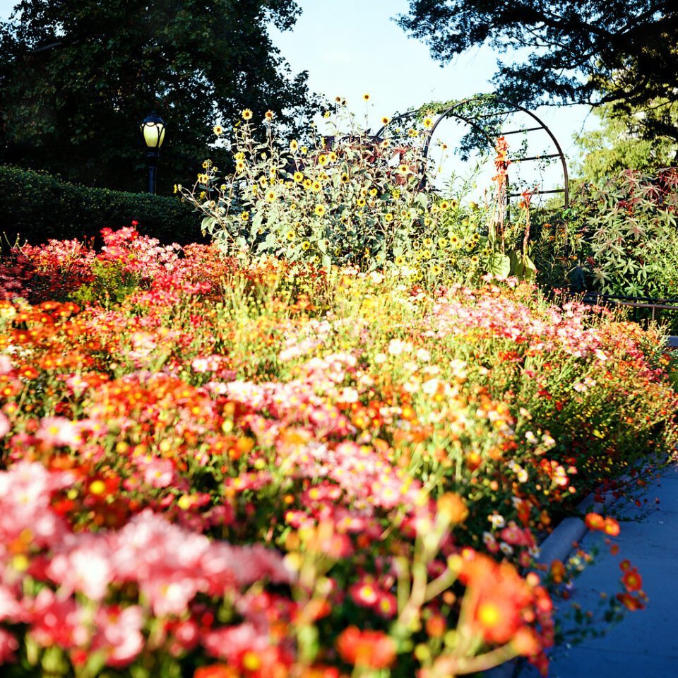 Conservatory Garden; Central Park