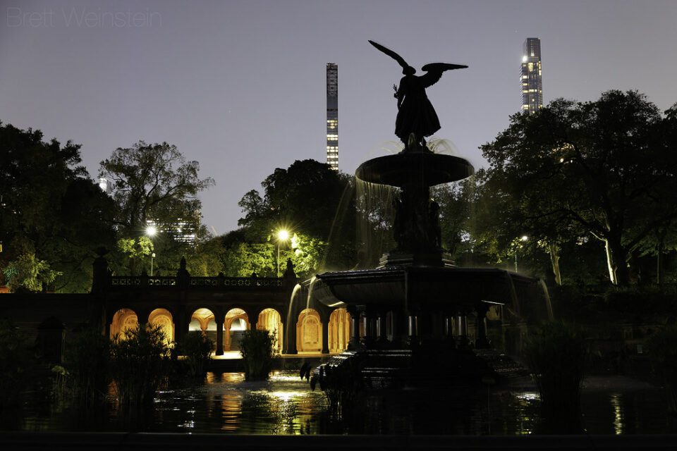 Night Angel of the Park