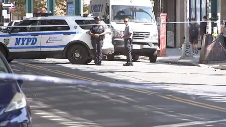Central New York mother facing ‘rarely used charge’ after 11-year-old son’s crime spree – Syracuse.com
